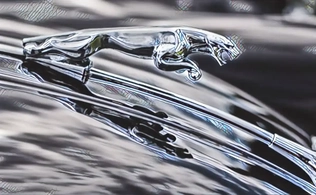 Django Unternehmen Website
