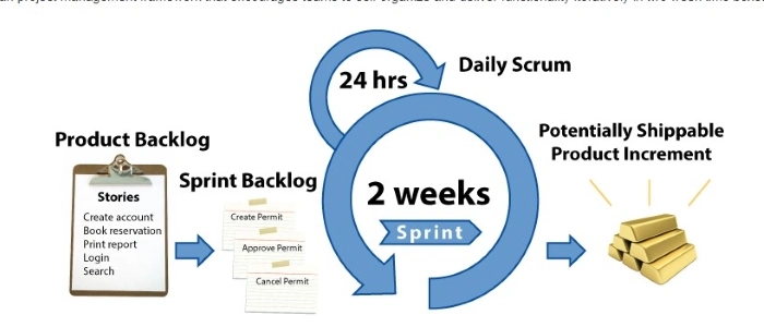 Daily Scrum and Sprint