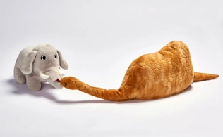 Python vs. PHP