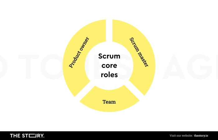 Self-organization of the Agile team