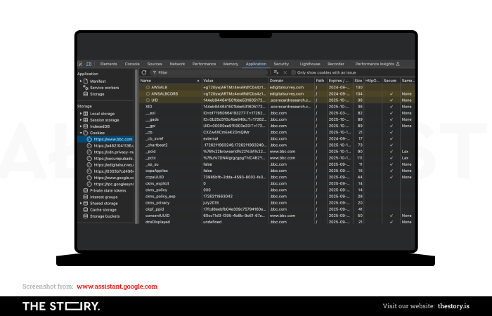 A screenshot of Google Console illustrating browser cookies