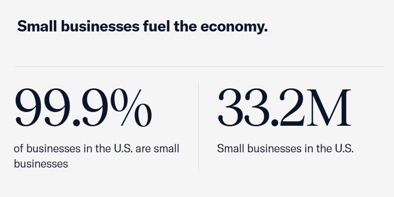 Screenshot of data showing business structure in the USA.
